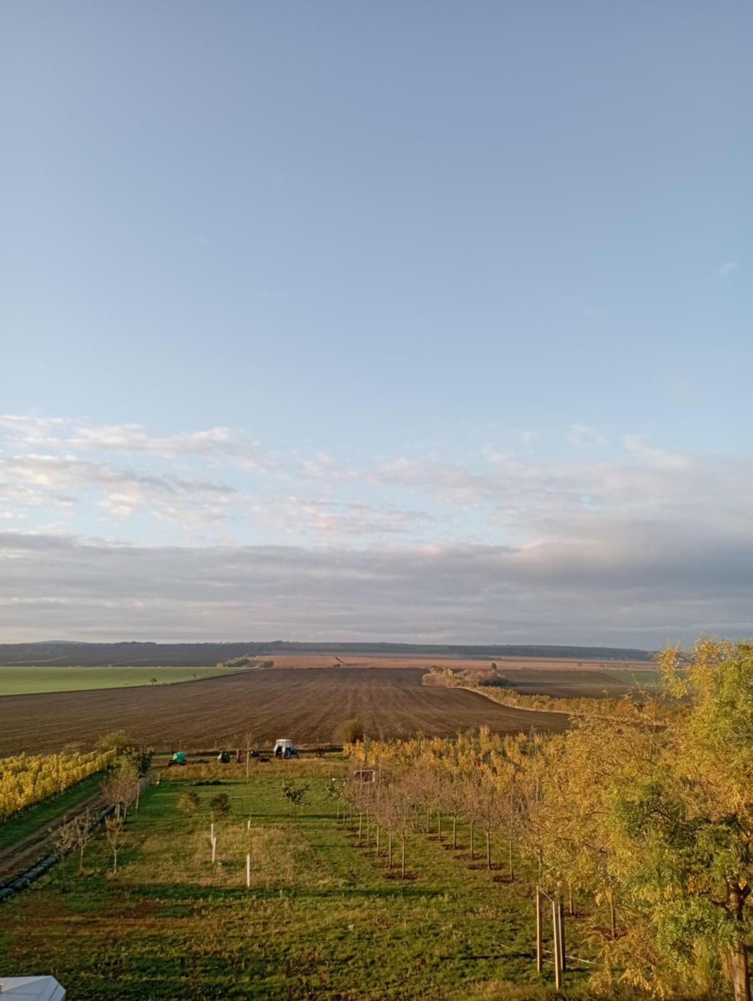 Vinarsky Penzion Strachotice Bagian luar foto